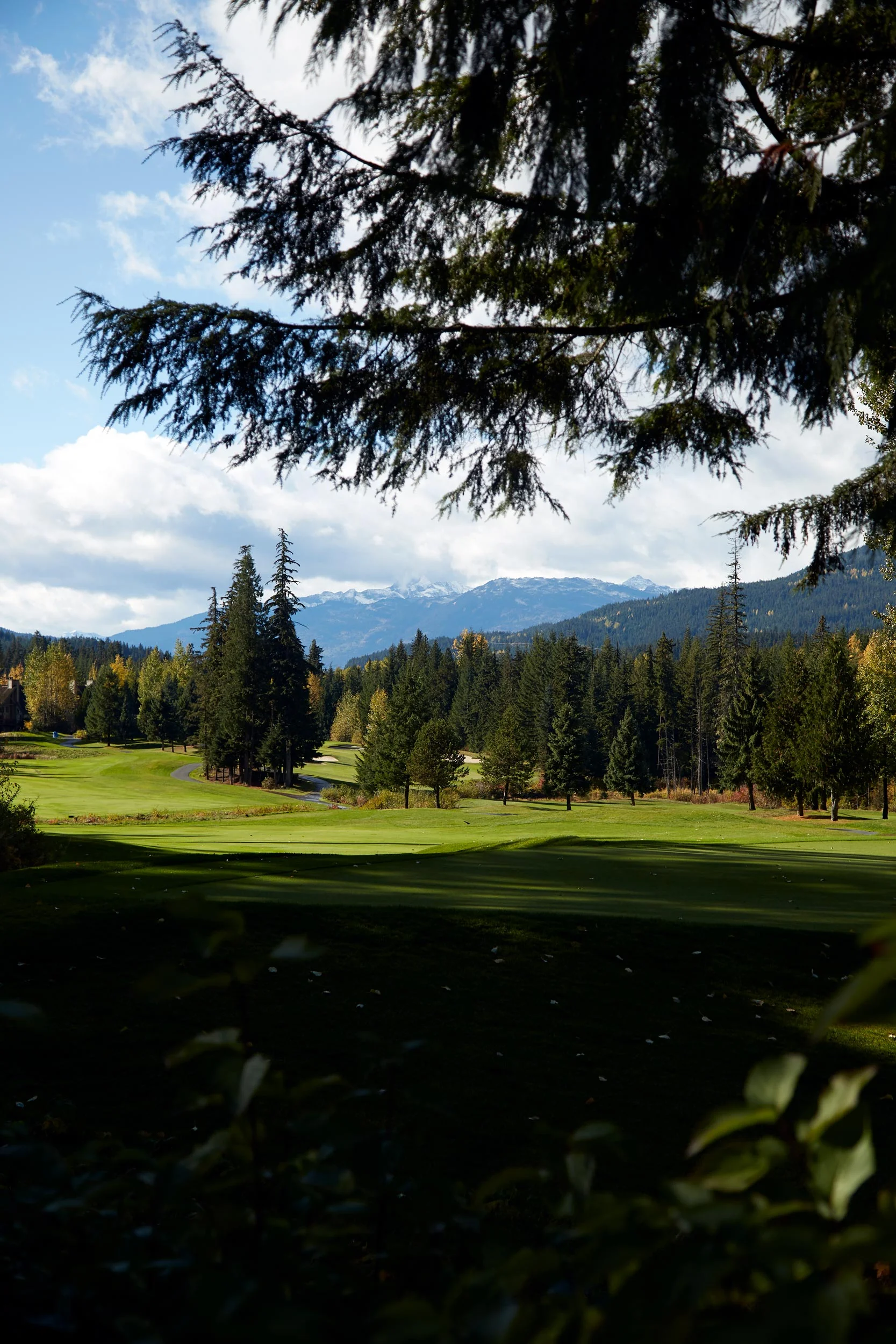 101717_whistler_024.jpg