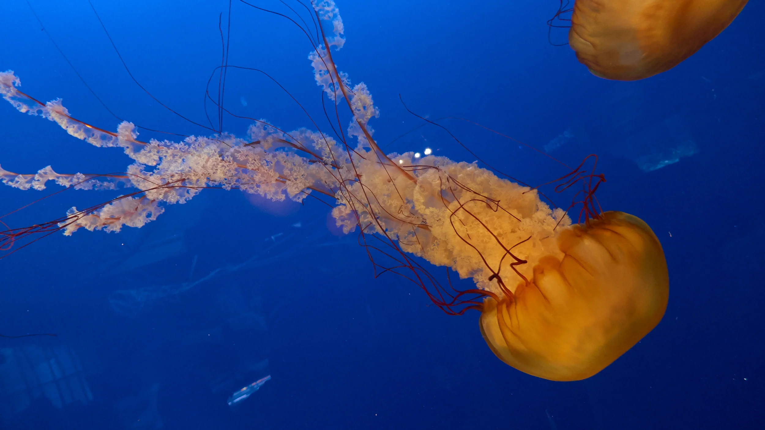 L1010144.jpg