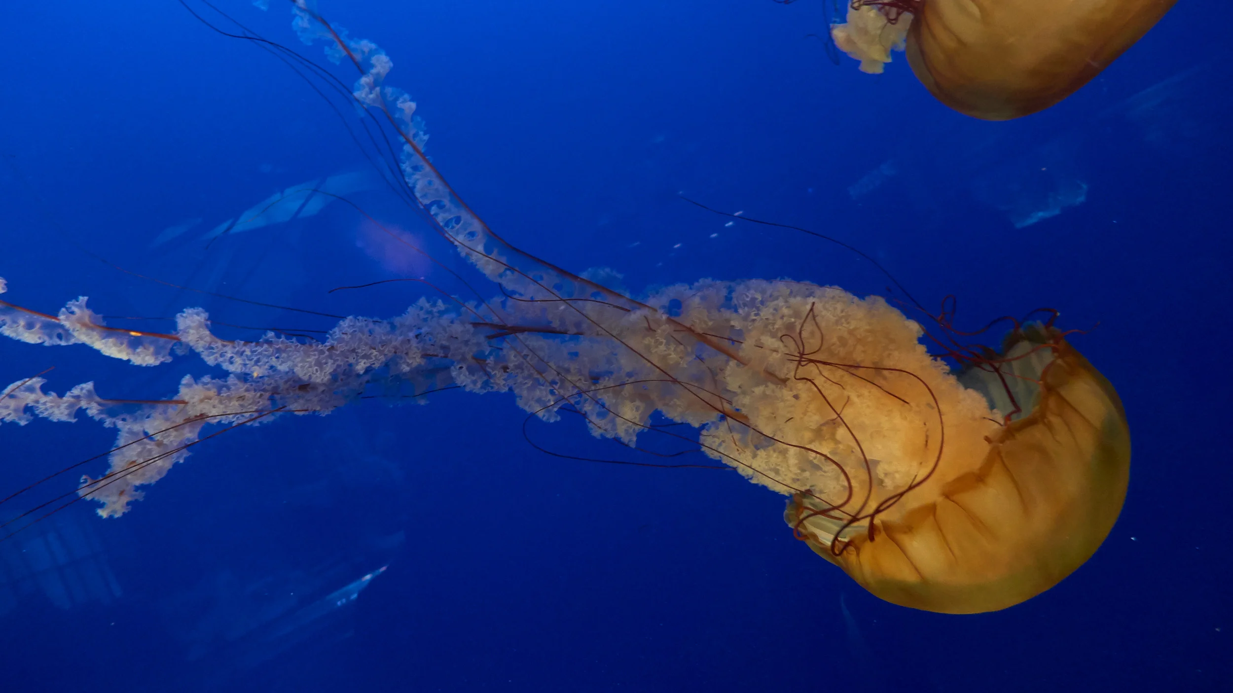 L1010145.jpg