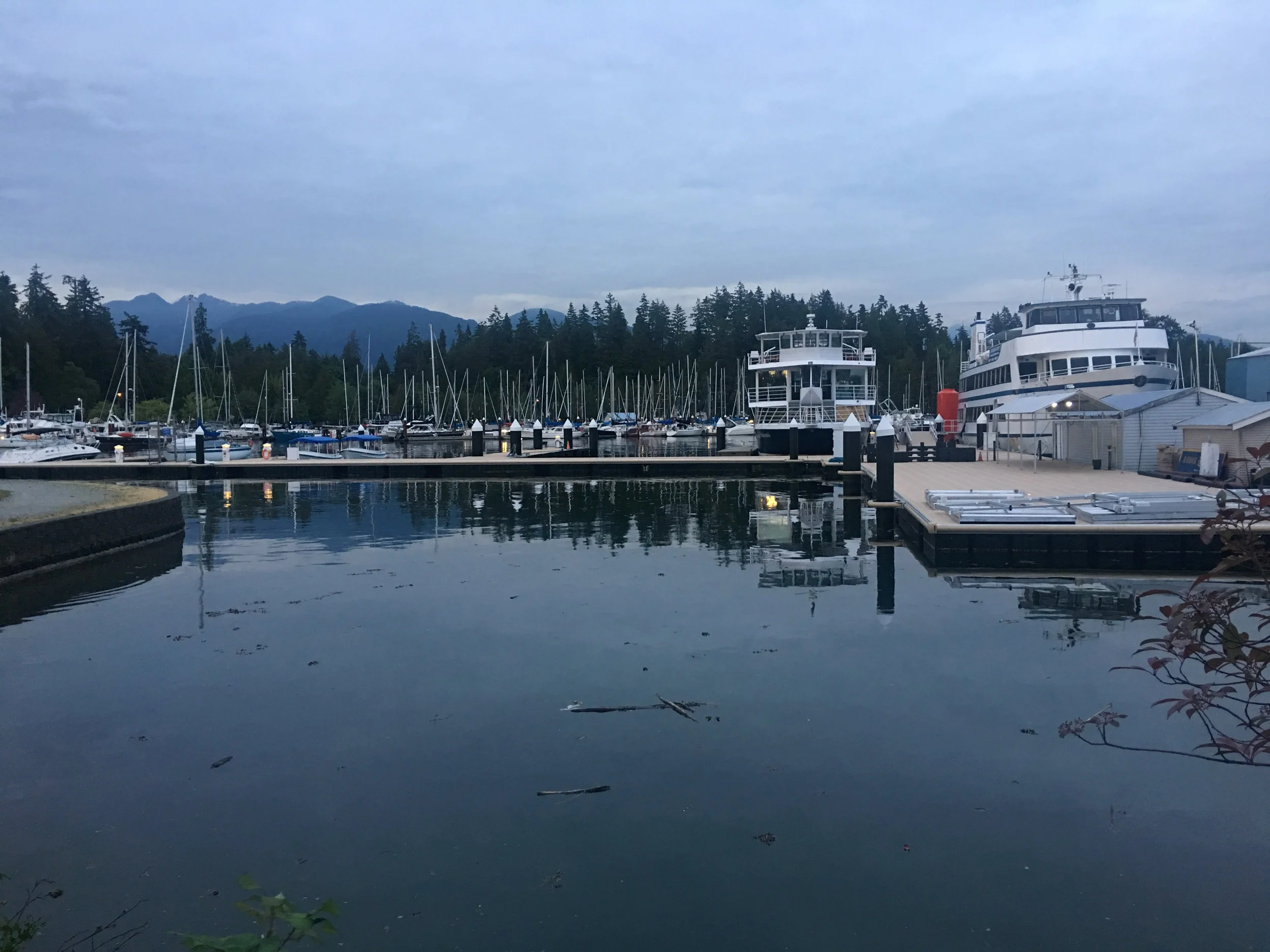 IMG_9514.jpg