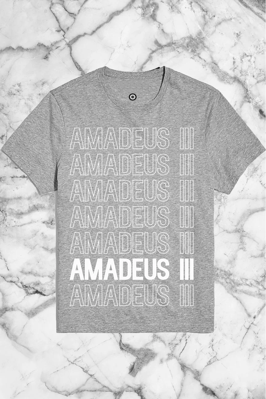 "AMADEUS" Graphic T-Shirt in Grey 