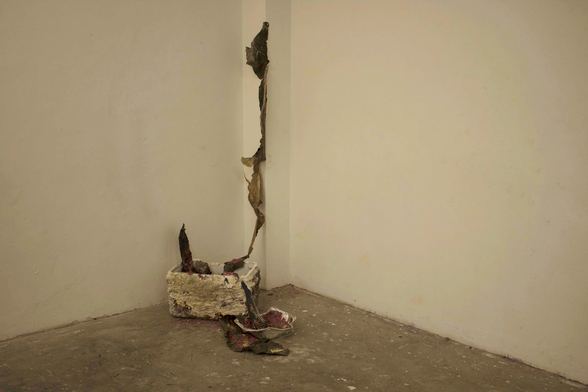 Elias_Project3_01.jpg
