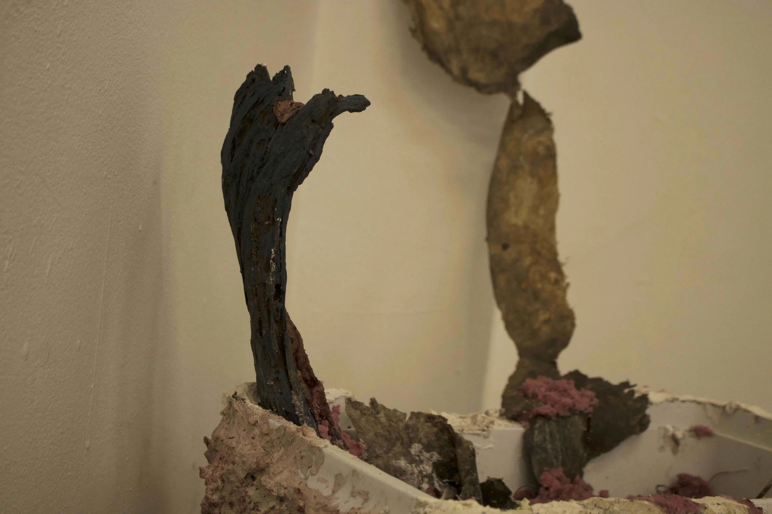 Elias_Project3_03.jpg