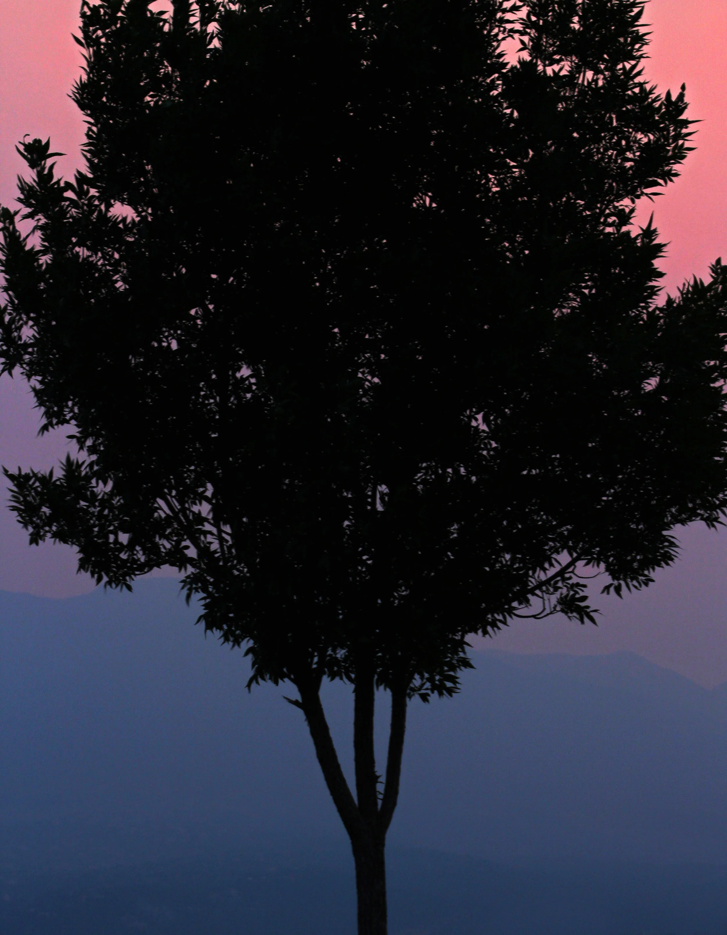 one of the first photos I ever shot