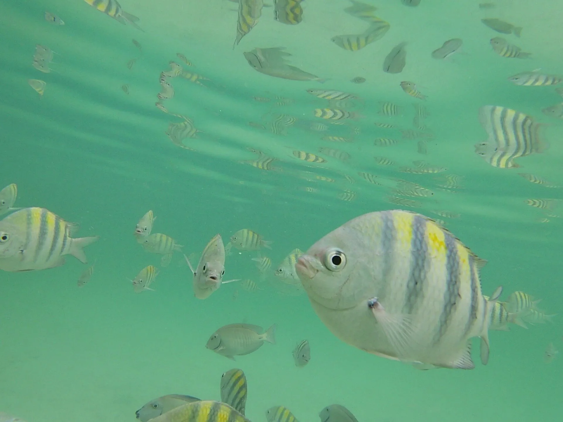 Dec 26 - Jan 2, 2021 (Single, $2100 per person)