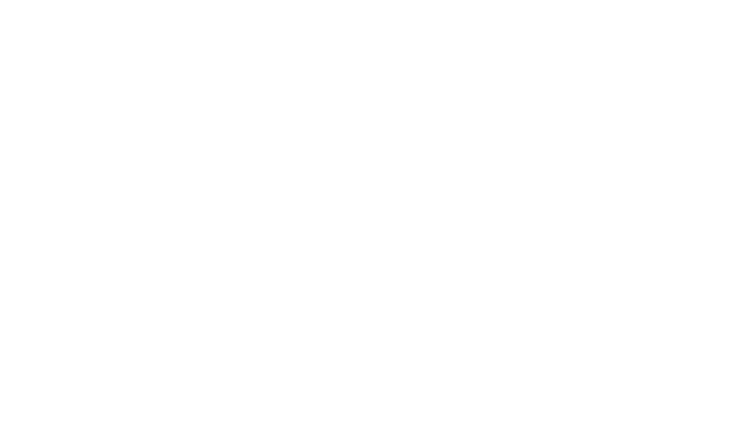 Troika Training
