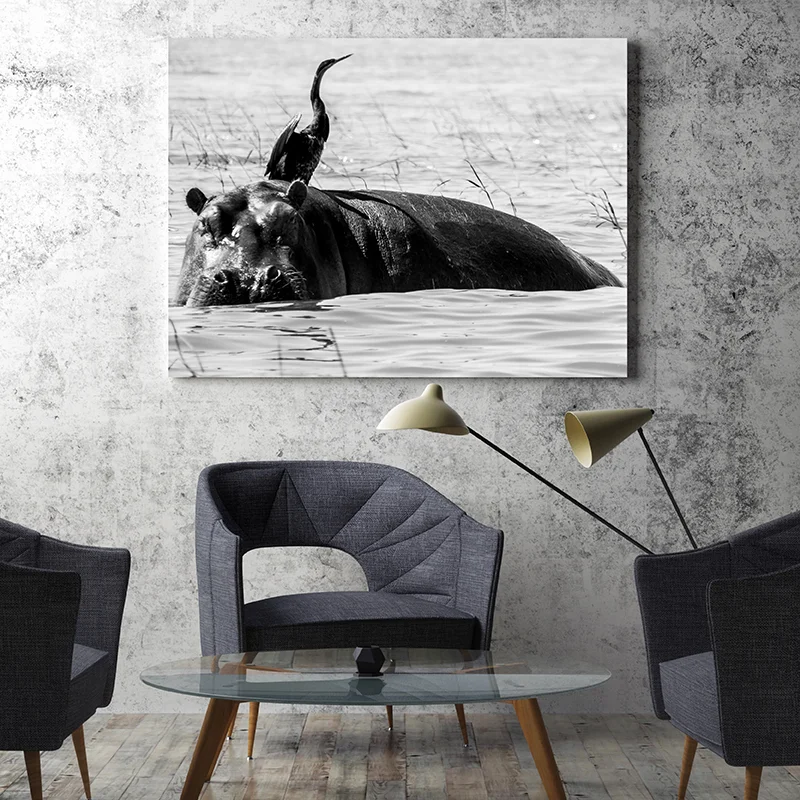 PippaHague_Tanzania_HippoBird_Canvas3.jpg
