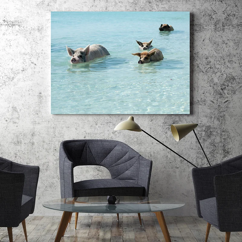 PippaHague_Bahama_Pigs_Canvas3.jpg