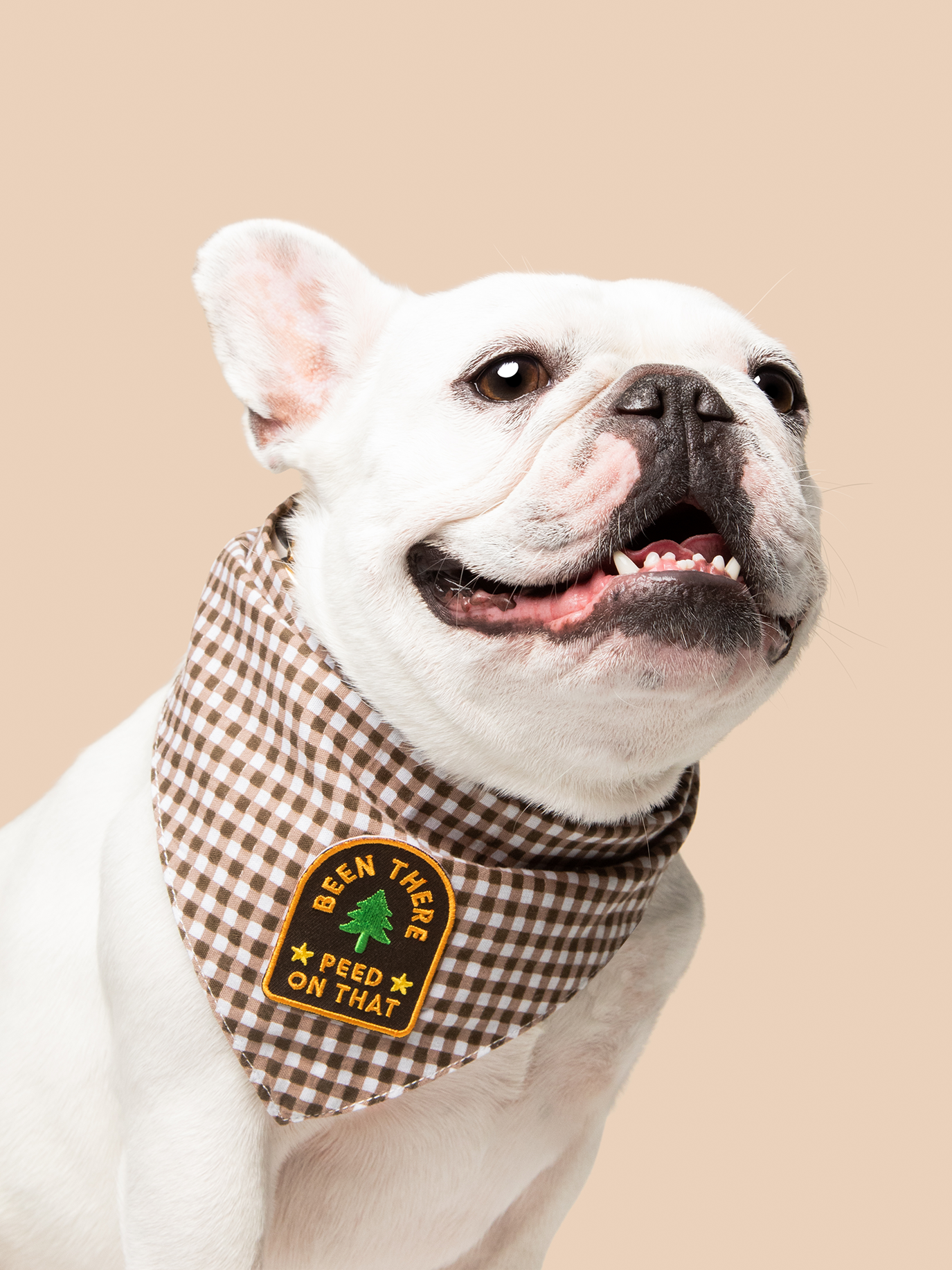 been there peed on that badge.png