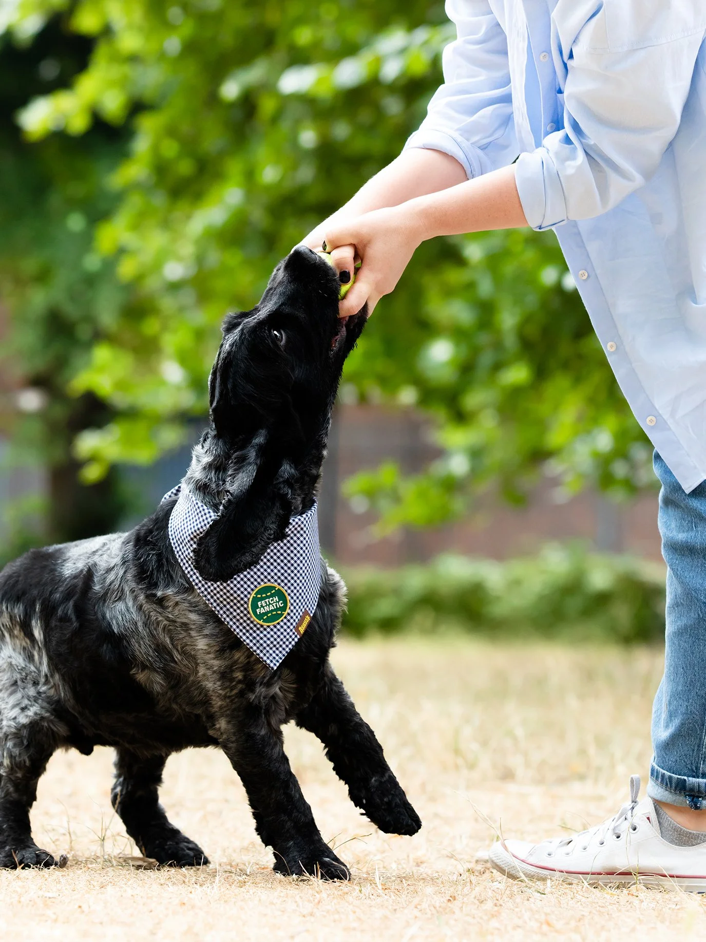 Fetch Fanatic Badge.jpg