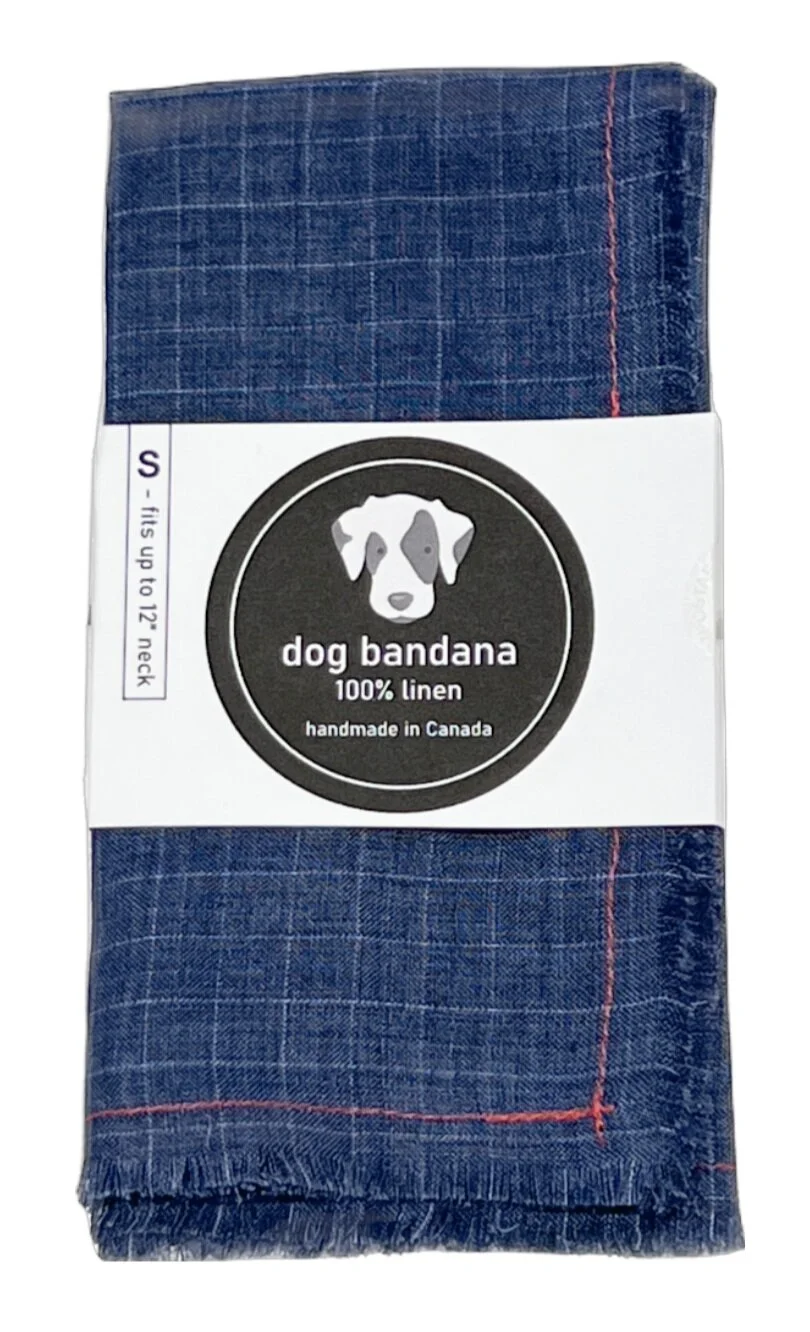 2BA95462-FDCA-4147-AEF6-91971C21B221