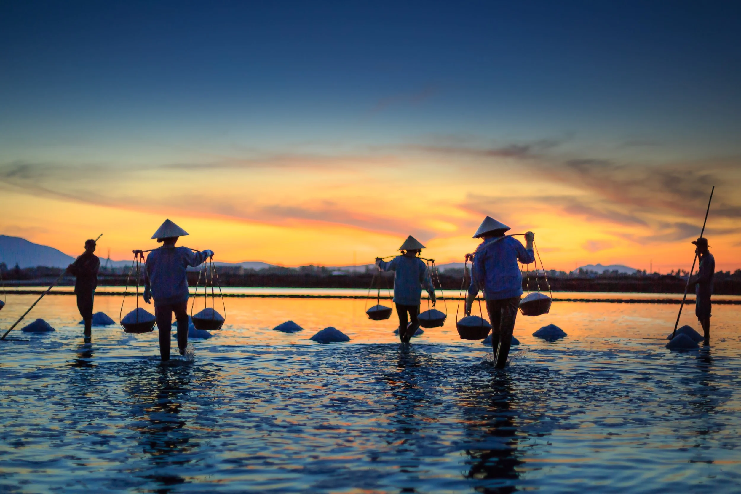 backlit-basket-carry-2152963.jpg