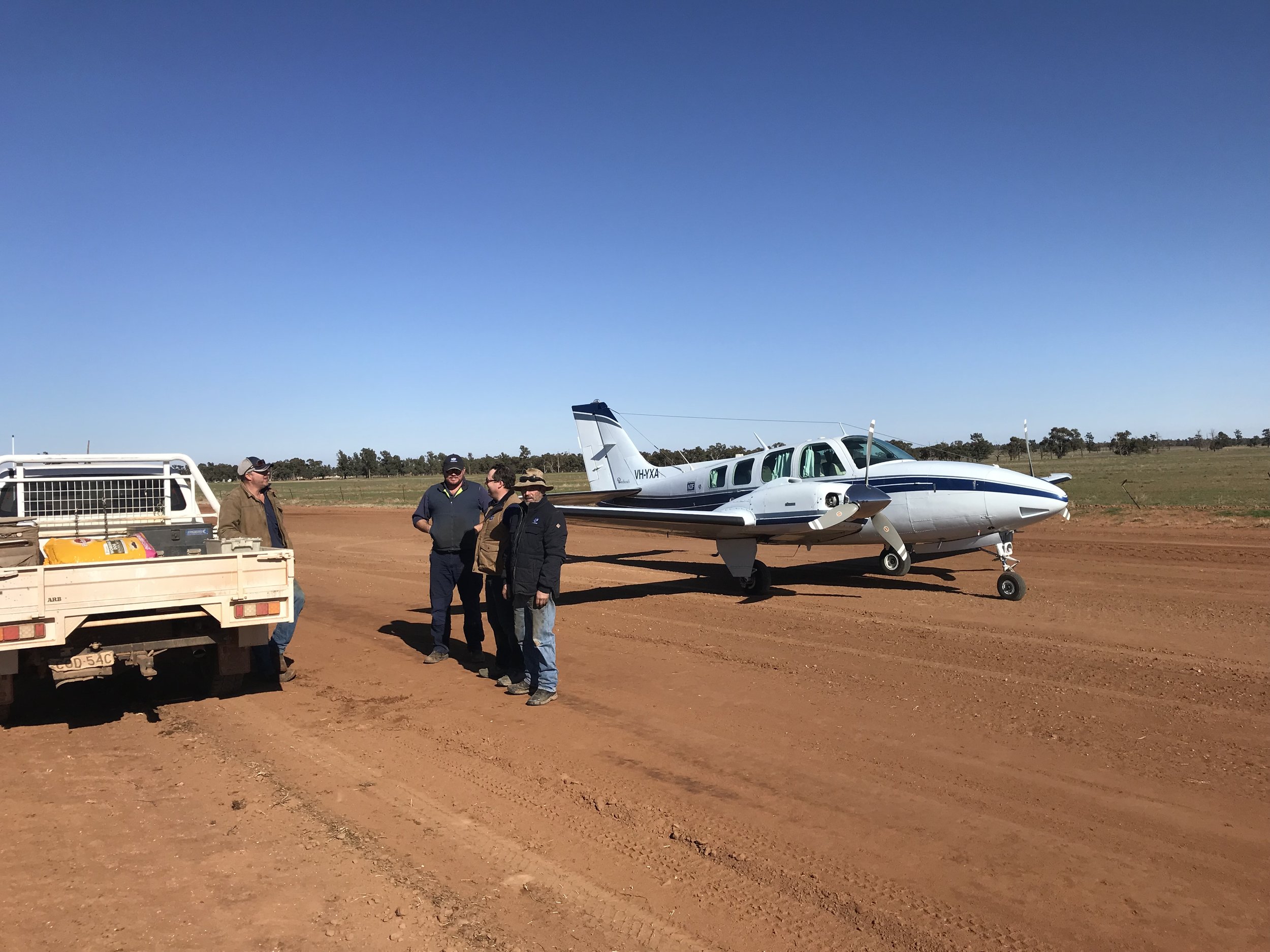 baron on airstrip.jpeg