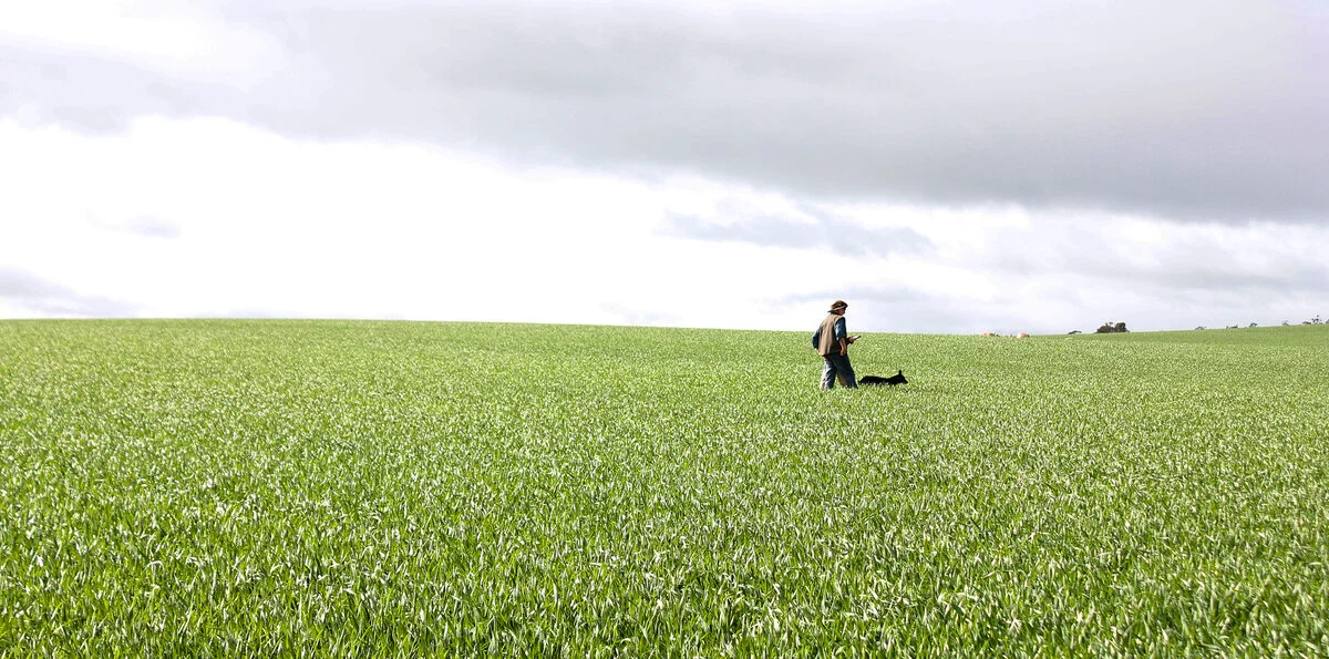Wesfarmers Field