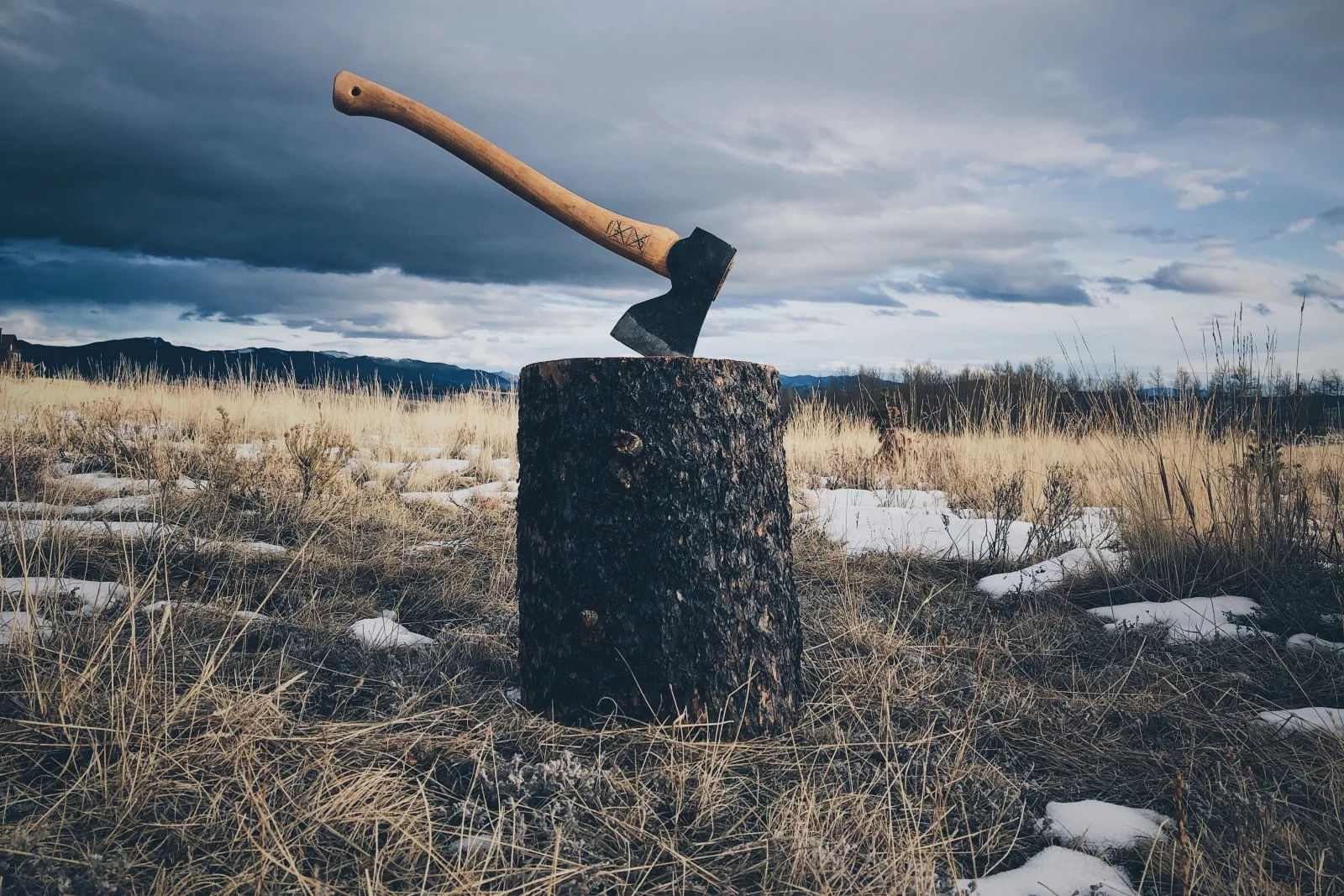 Photo by&nbsp; Jason Abdilla &nbsp;on&nbsp; Unsplash