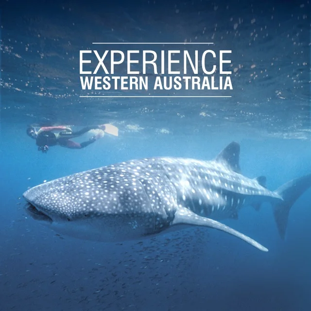 ExperienceWA-Load.jpg
