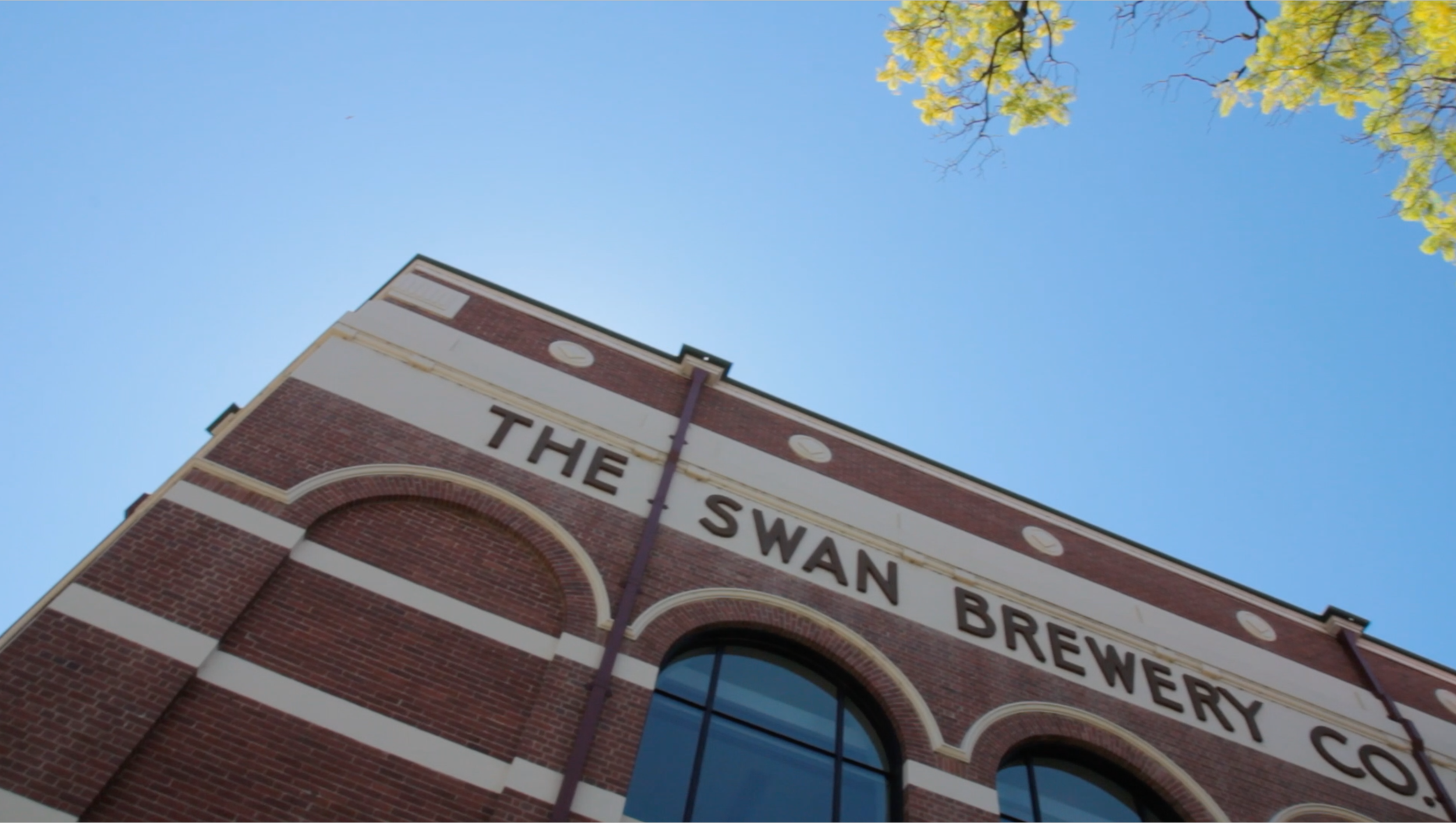Swan Brewery