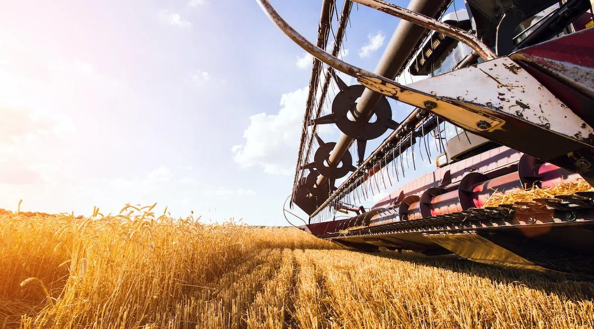 Photo of combine harvester that is harvesting wheat