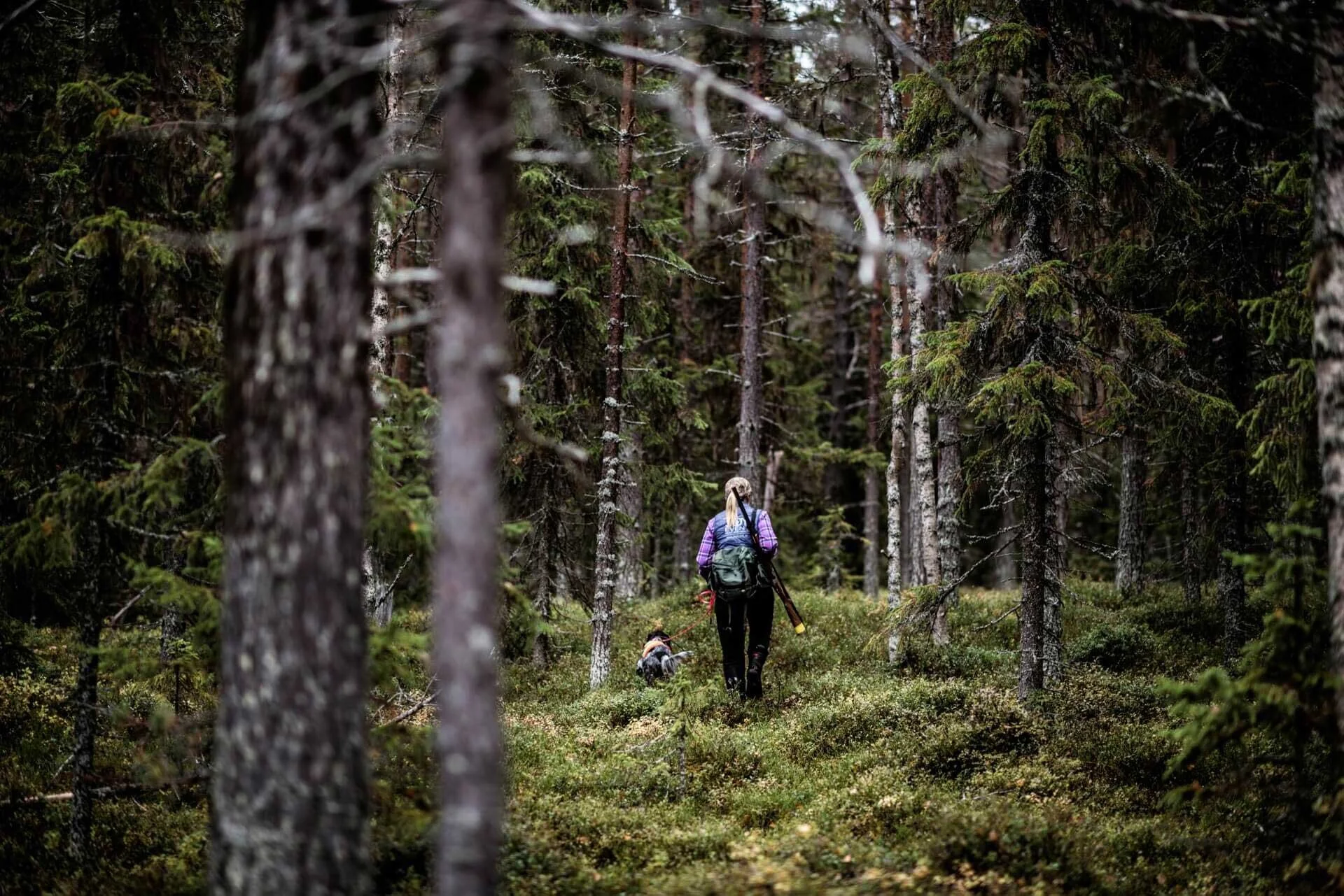 Photo: Sandra Lee Pettersson