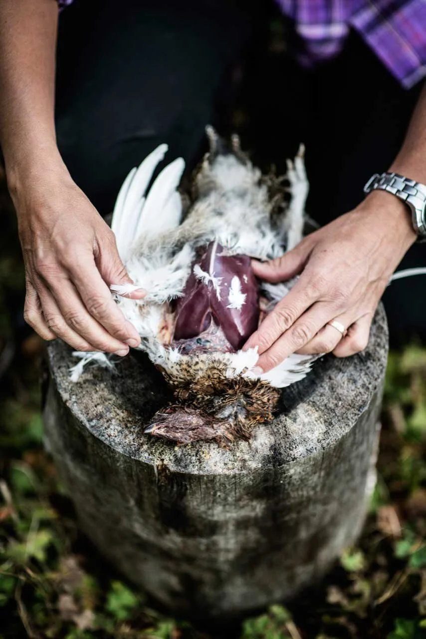 Photo: Sandra Lee Pettersson
