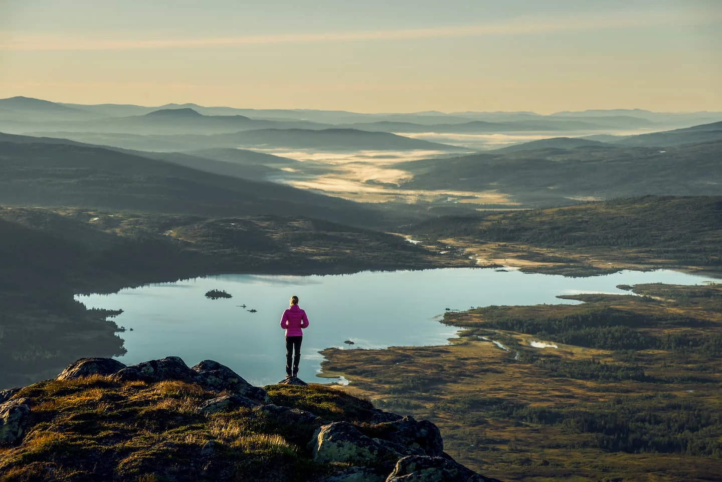 at the top of Lakavasshatten in Blåfjella–Skjækerfjella National Park_bernartwood.jpg