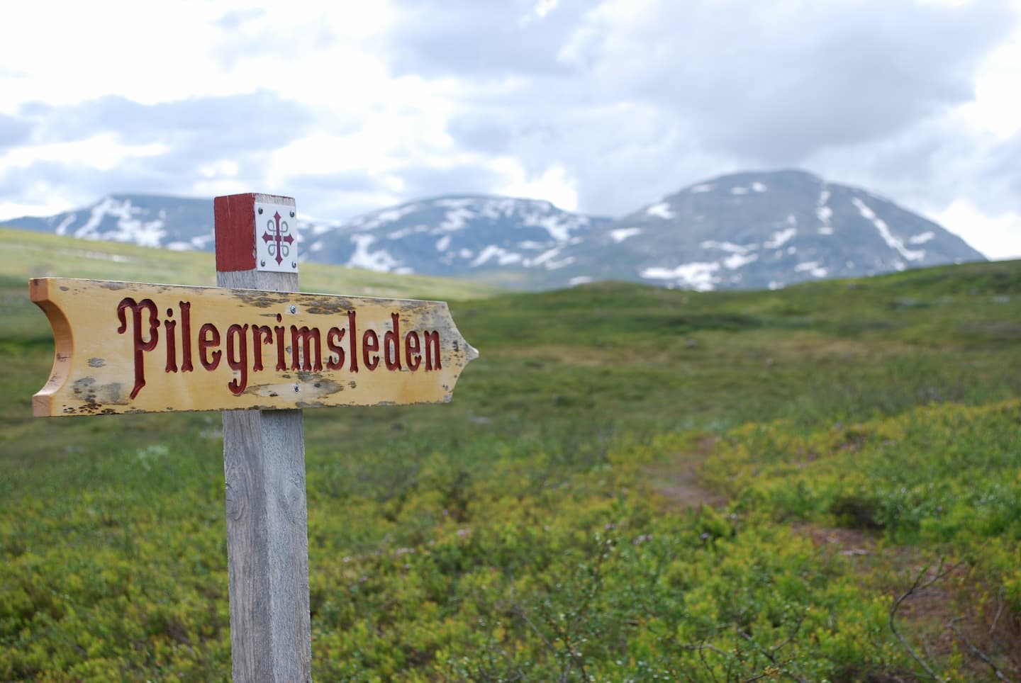Foto Mattias Jansson - www.sylan.no.jpg