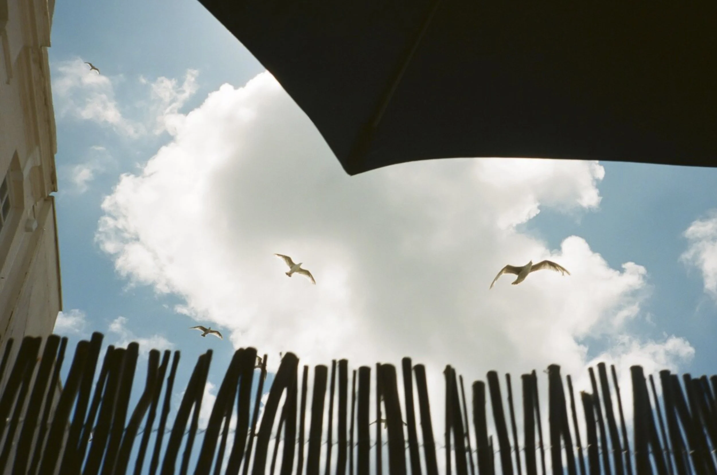 0035_1A.jpg