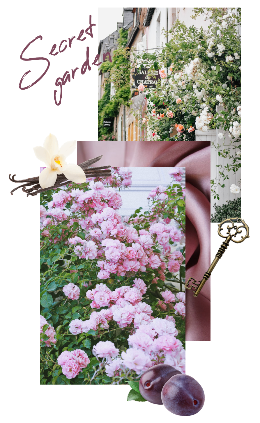 Rose Garden Evin