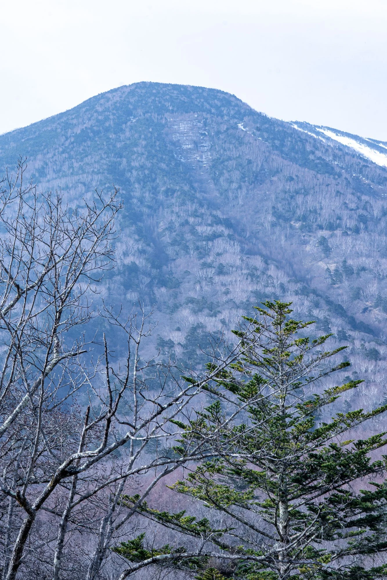 ritz-carlton-nikko-edward-wendt-004-.jpg