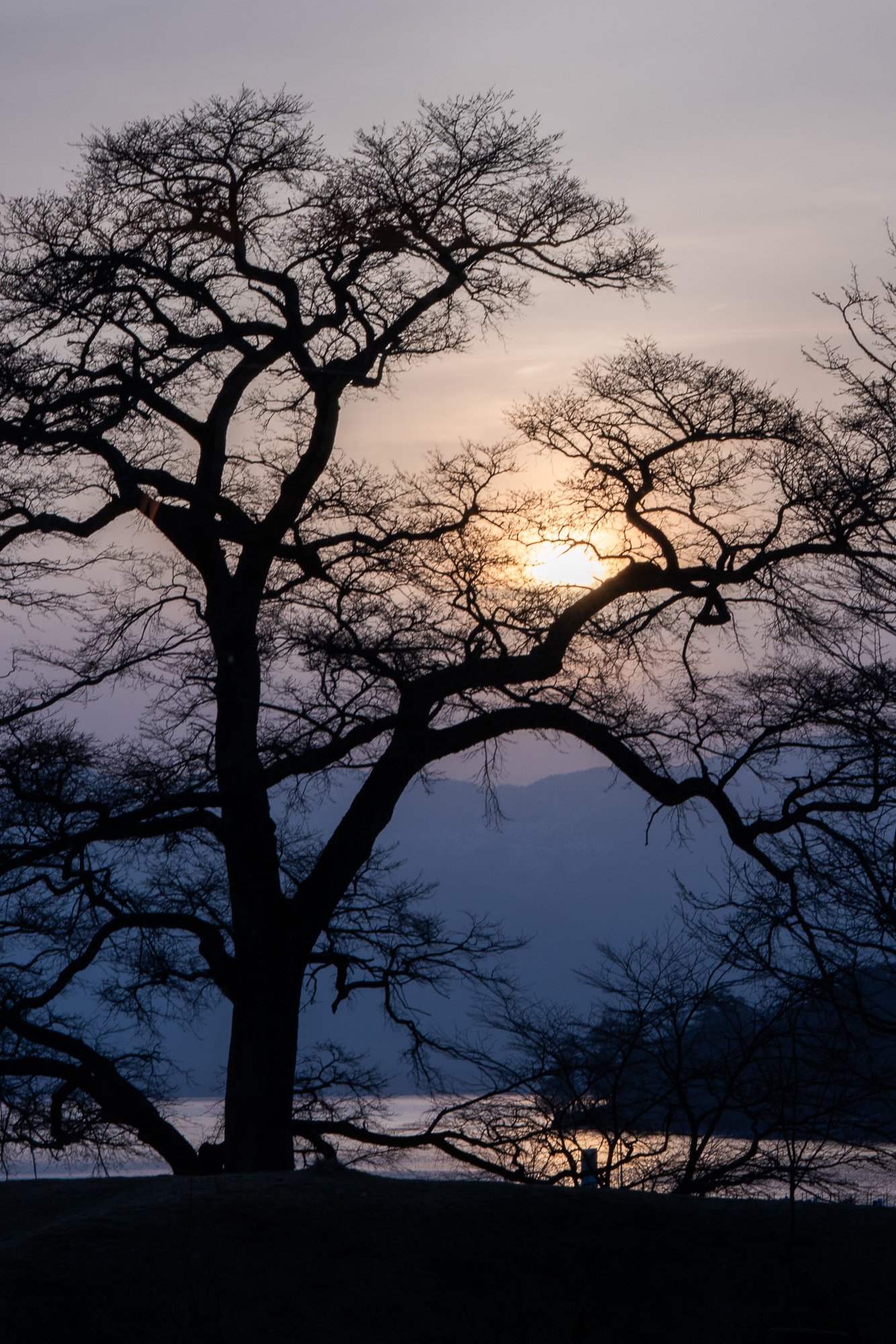 ritz-carlton-nikko-edward-wendt-079-.jpg