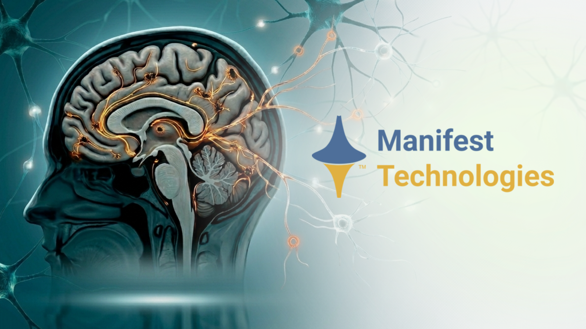 Manifest Technologies: From Yale Research Spinout to Strategic Exit