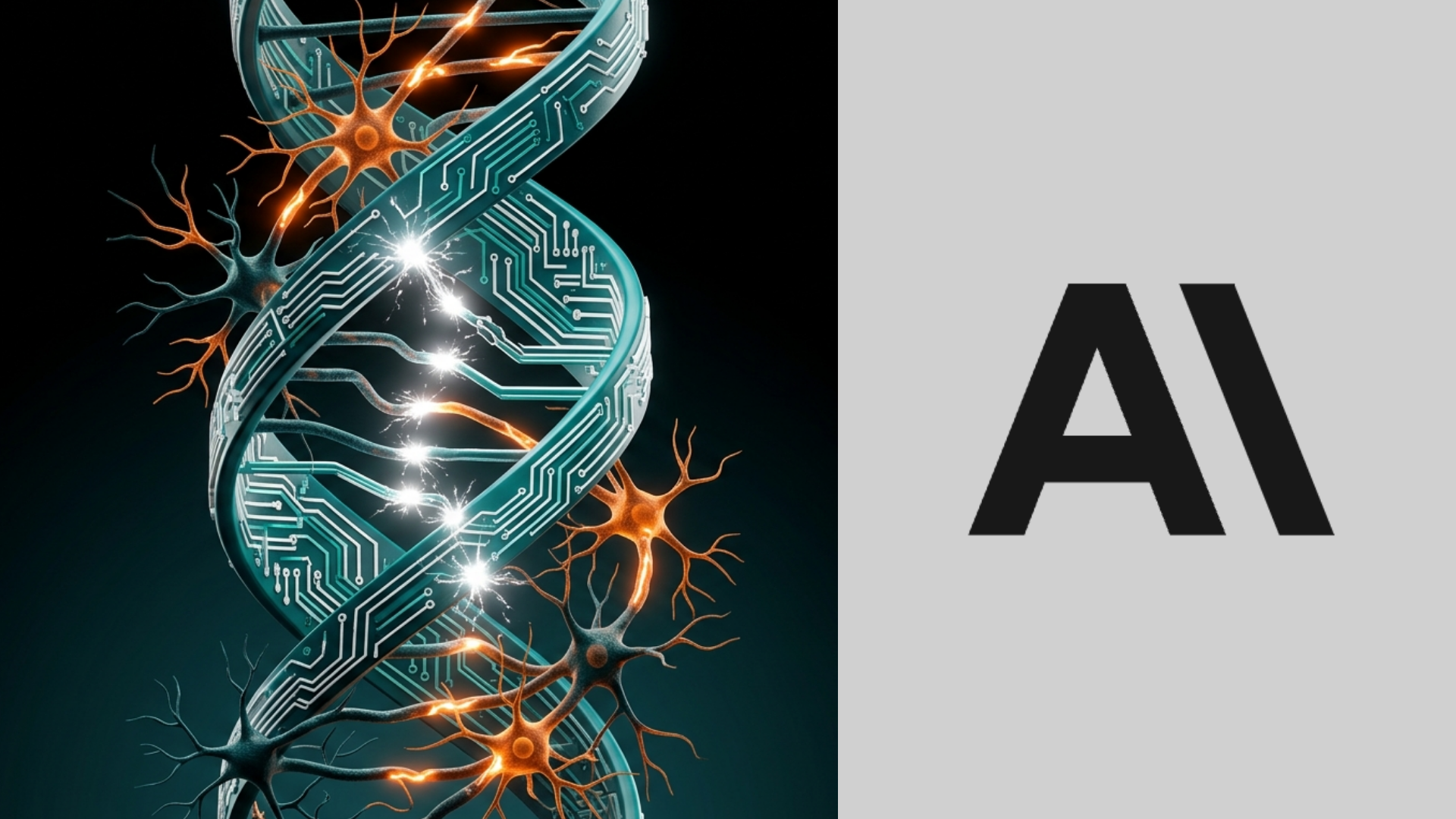 Why Kaleida Capital Backed Anthropic: The Convergence of Biological and Artificial Intelligence