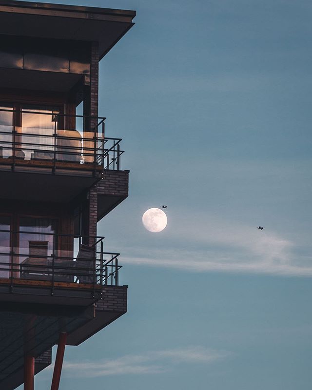 ↟↟ - Mo(o)nday -
__________________________________
It&rsquo;s funny how you can be very eager to discover new cities and places, but when it comes to your own city you get lazy. That&rsquo;s at least how it was with me and this place in Oslo, S&osla