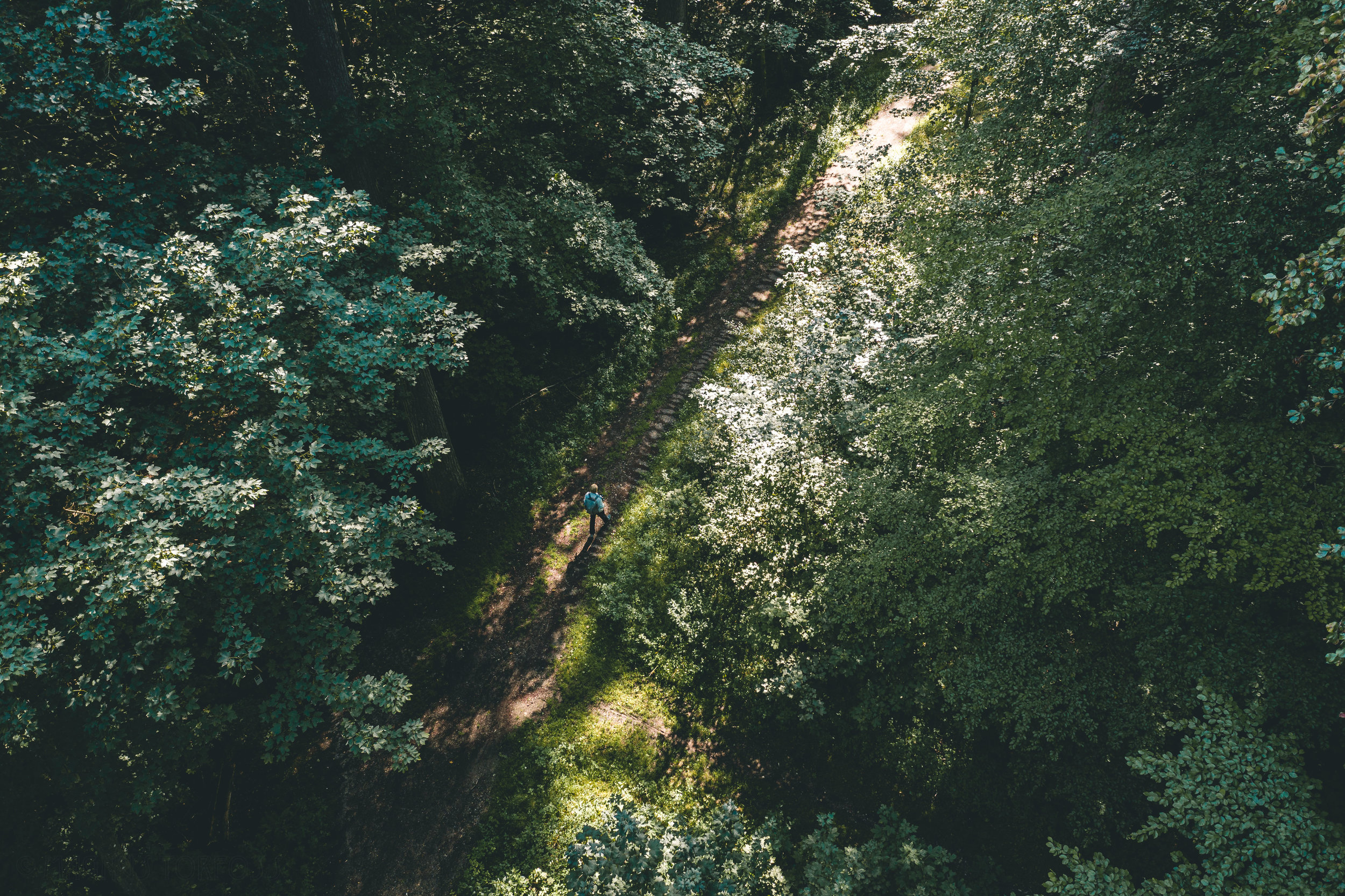20190821-DJI_0512.jpg