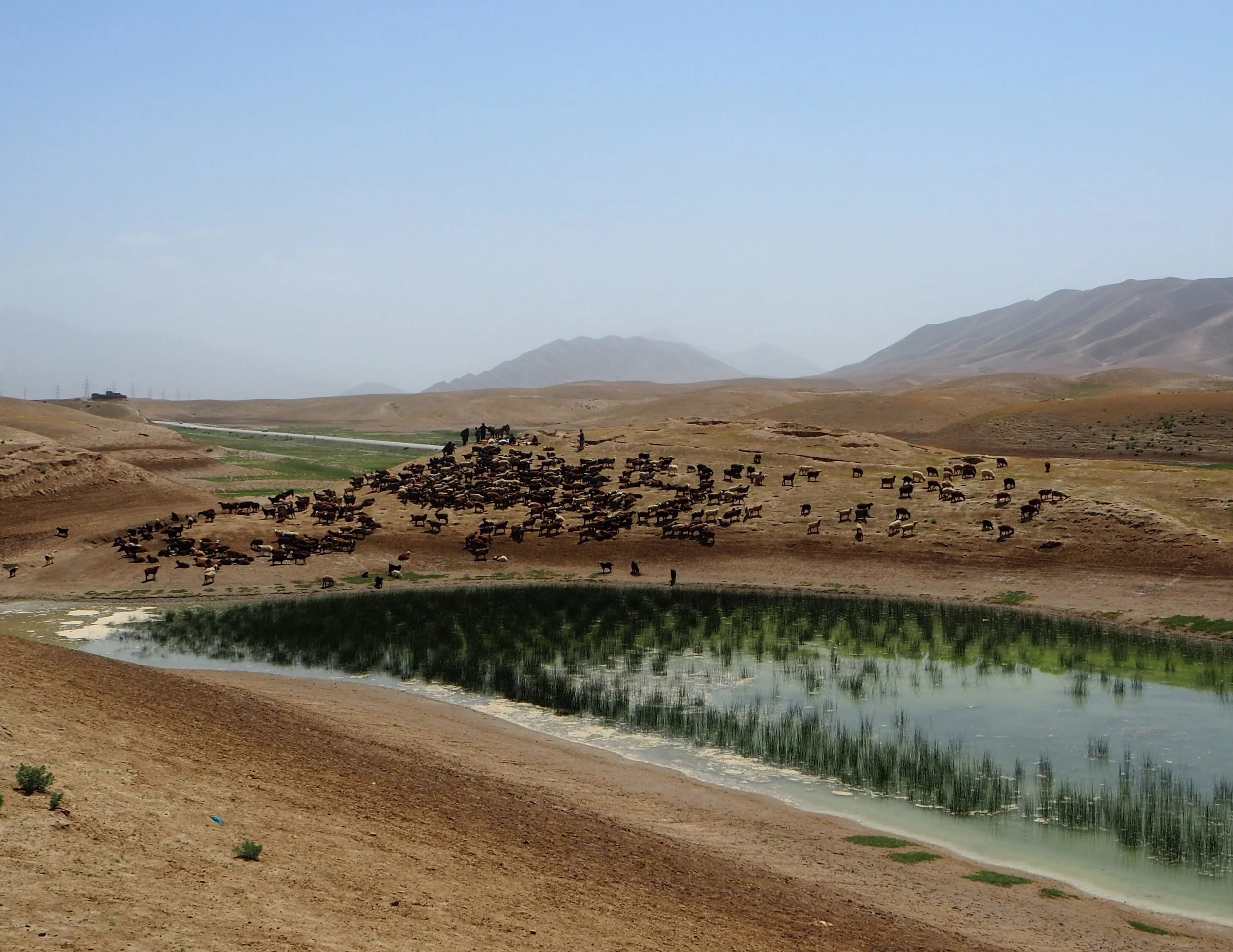 MAIL - Social Assessment of the National Horticulture and Livestock Project