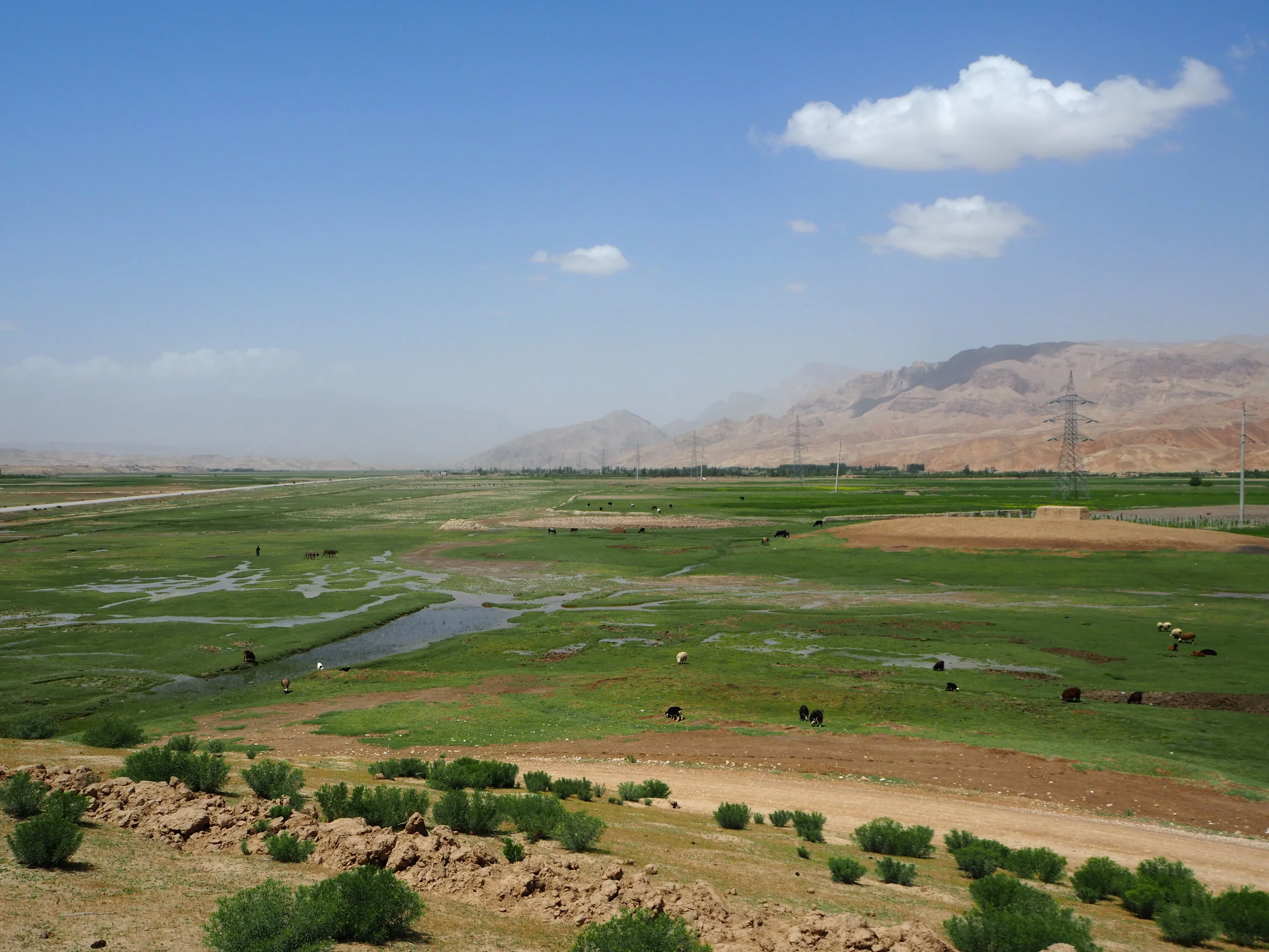 WFP - World Food Programme Afghanistan - Effectiveness Study