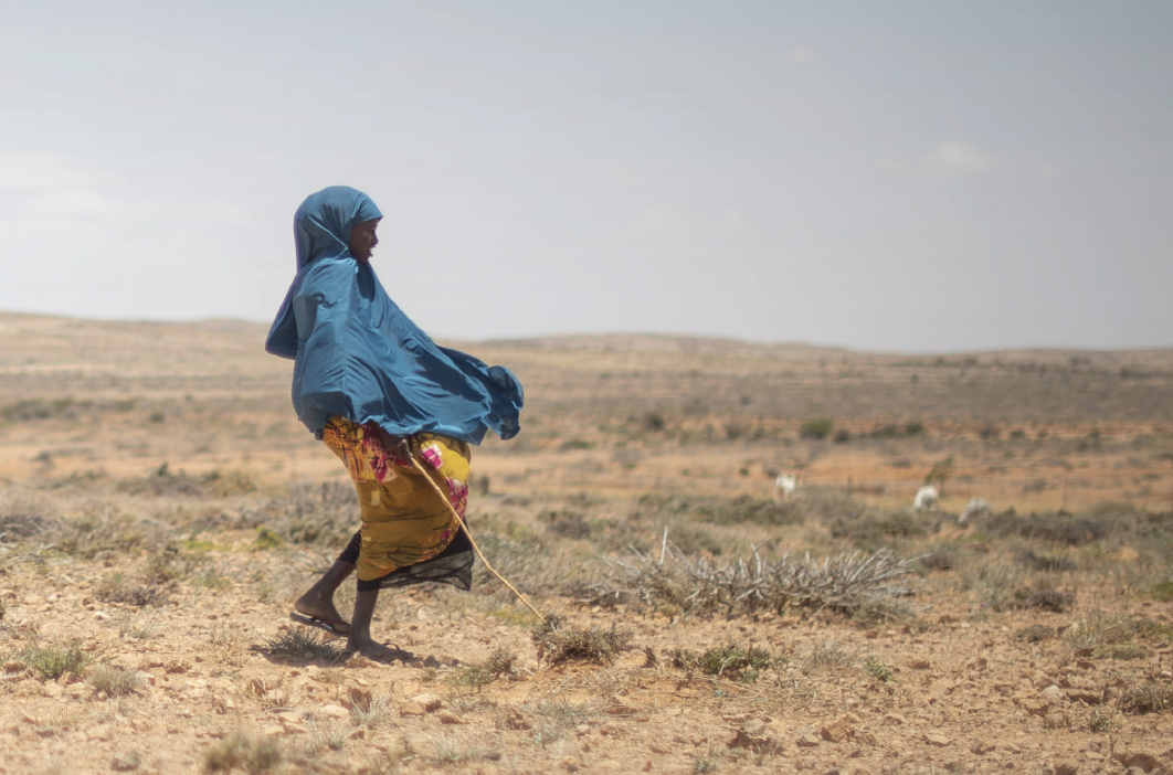 IOM &amp; UNEP –&nbsp;Identifying Climate Adaptive Solutions to Displacement in Somalia