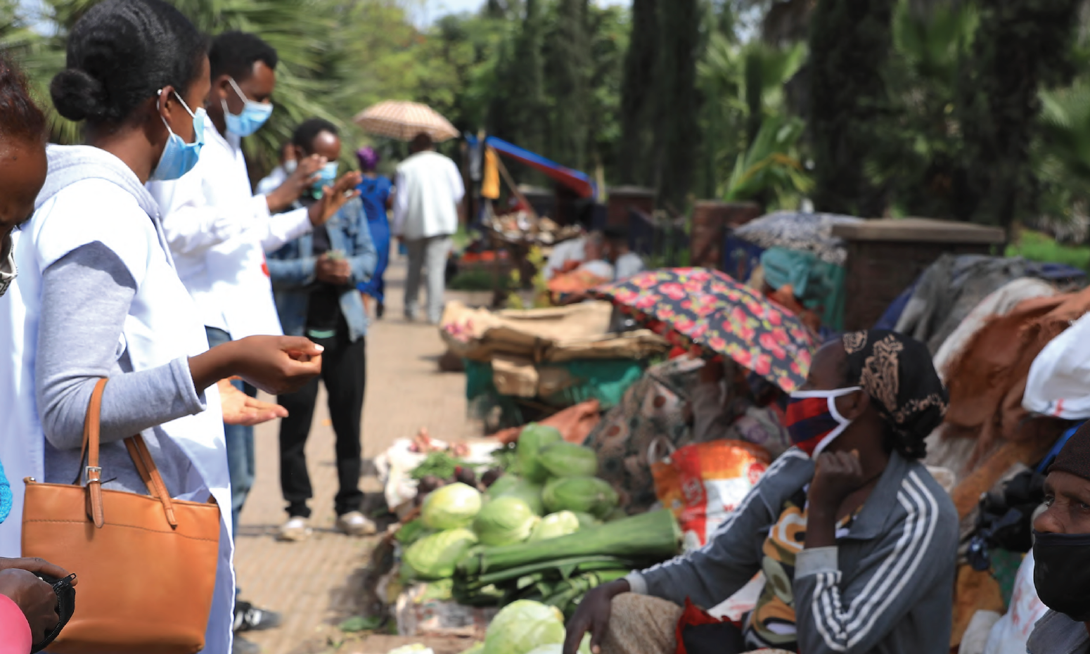 ILO –&nbsp;Rapid assessment of the impact of COVID-19 on labour markets in Ethiopia: A case study of the Somali and Tigray regions