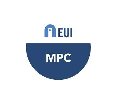 Migration Policy Centre : Roundtable - Do migration partnerships work? 