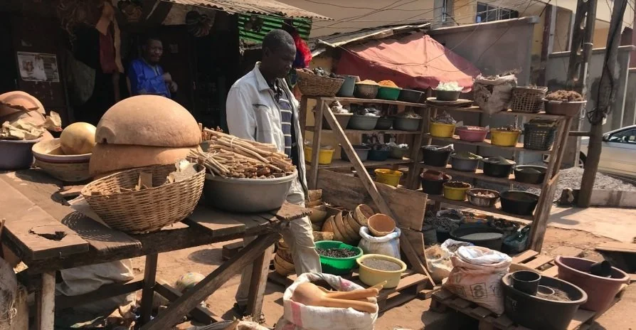 IOM: Labour Market Survey in North- West, South-West Regions of  Cameroon for the Humanitarian Development Peace Nexus