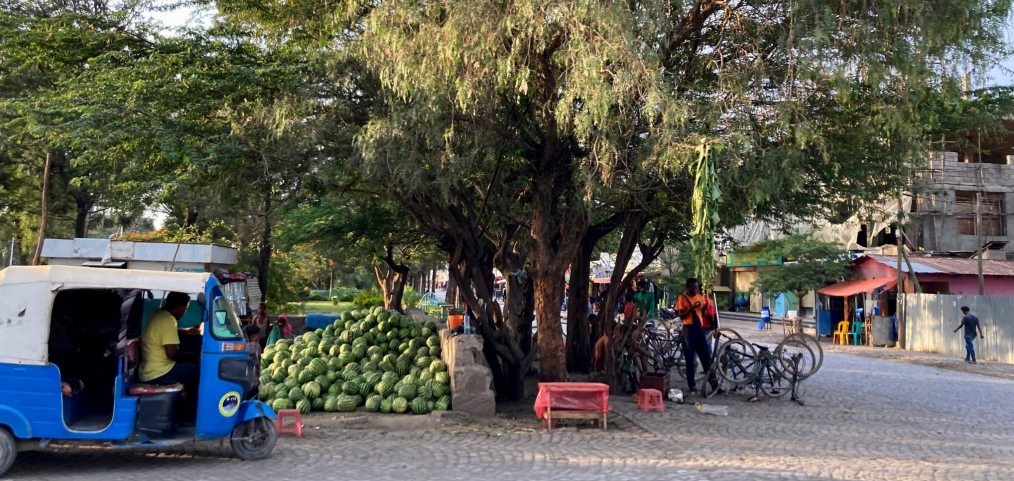 MIGNEX: Migration and development dynamics in Batu, Ethiopia
