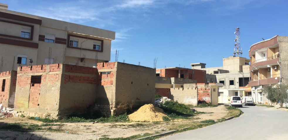 MIGNEX: Migration and development dynamics in Enfidha, Tunisia