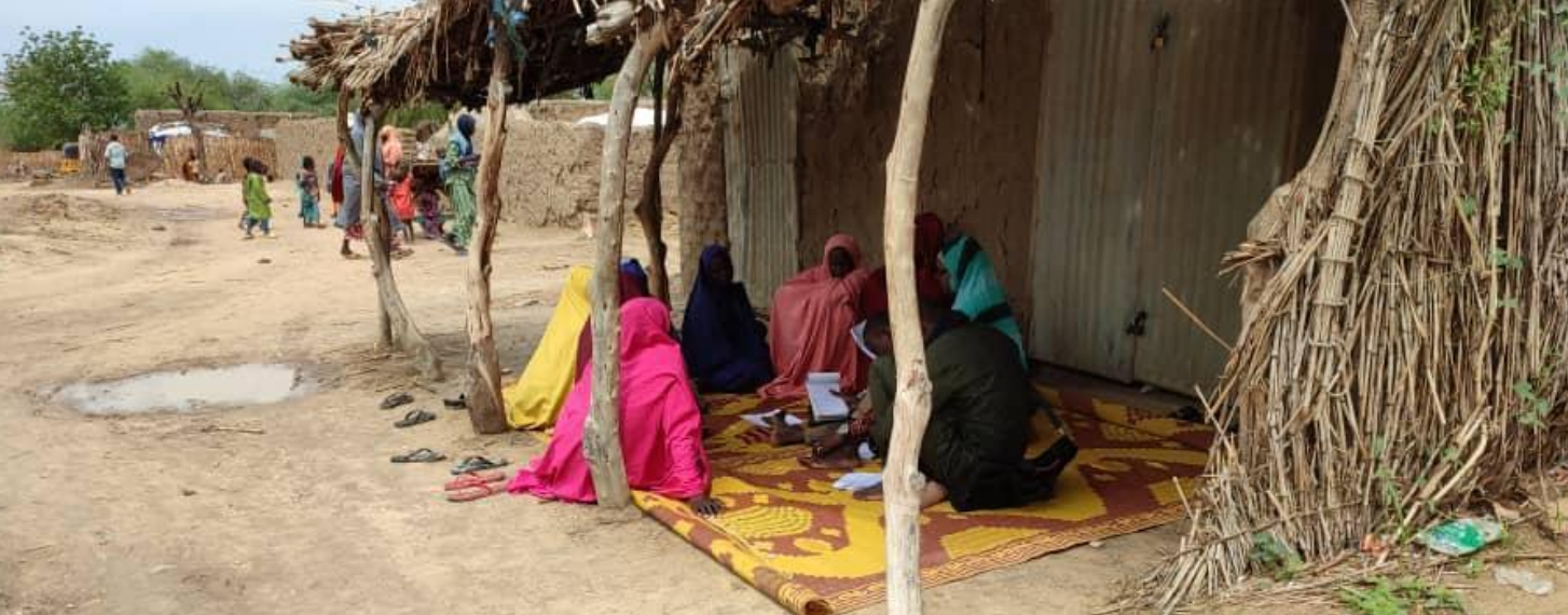 USAID: Evidence of Impact Study on Livelihoods 