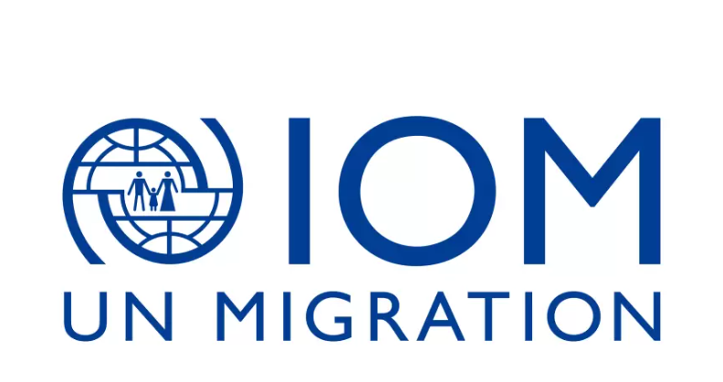 IOM, Gender Migration Lab: International Women's Day webinar 