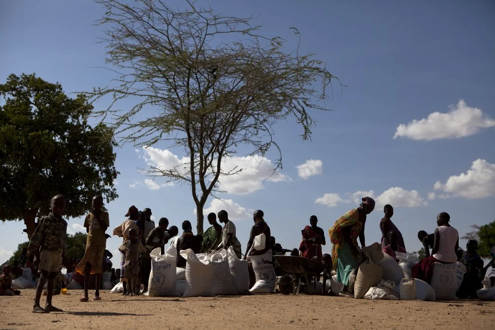 IOM: Cash-based Interventions and Mobility: A Review of Current Approaches