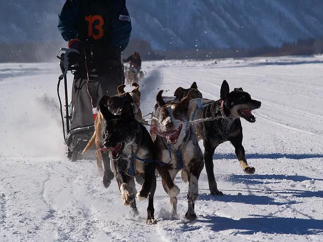 How Does Your Product Team Stack Up?