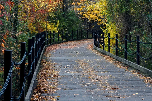 The Path to an Exceptional Product Team