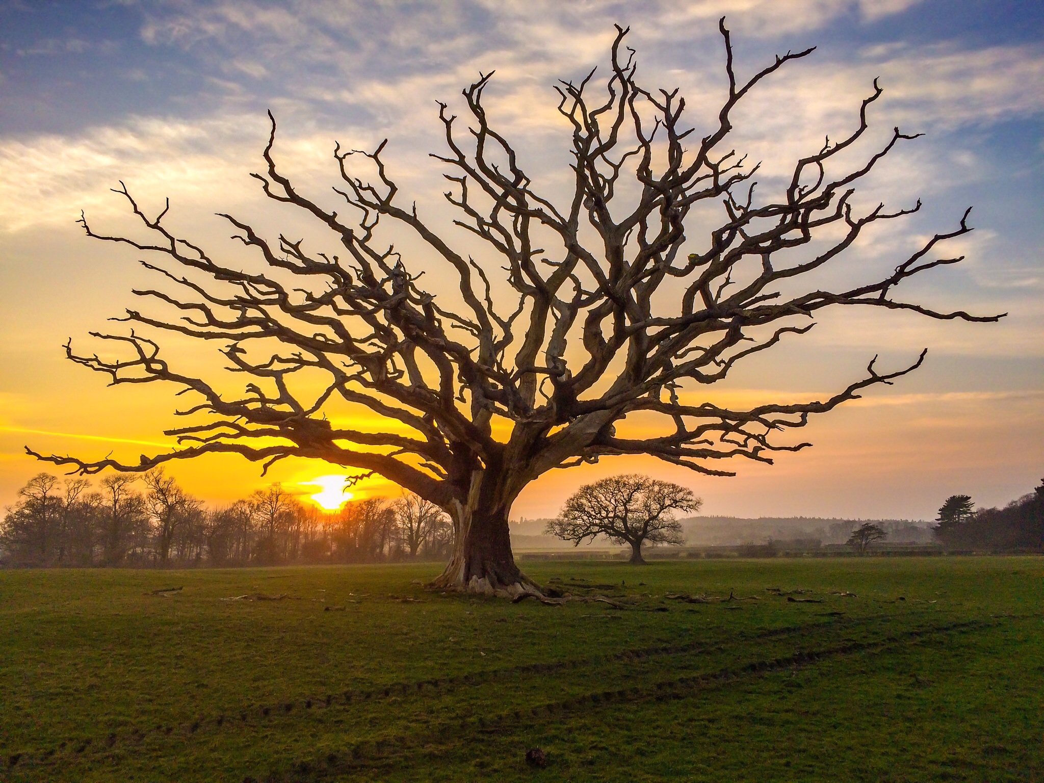 How Product Marketers Create Landing Pages [Content Creation Series]