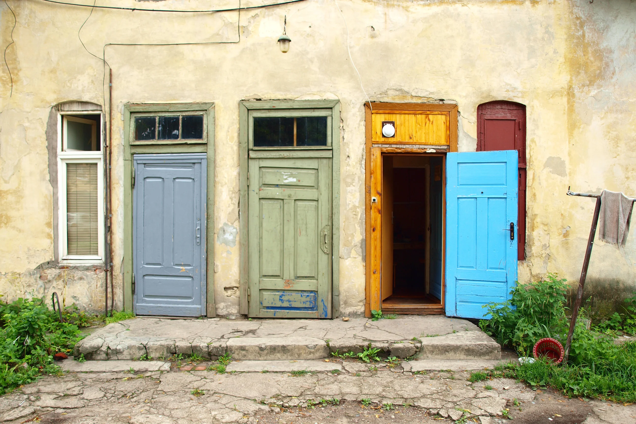 Opportunity Makers: How can mentorship open doors?