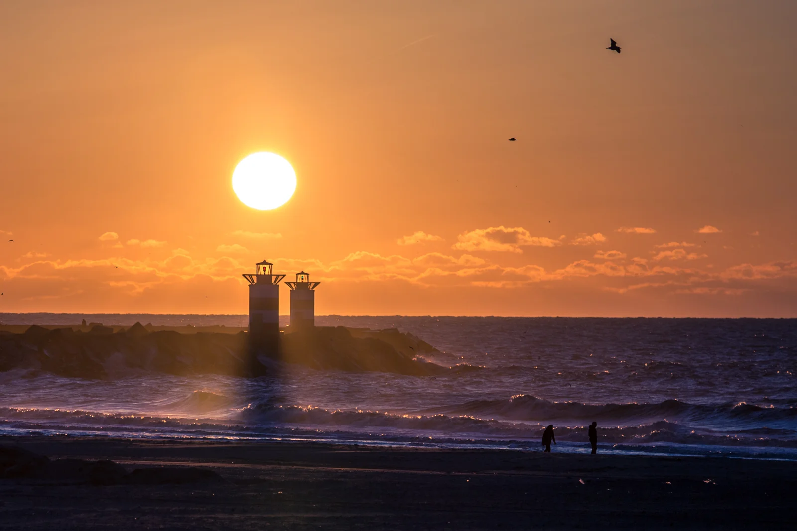 Interview: A Chat with BPMA Mentor and Edx CTO, Mark Haseltine